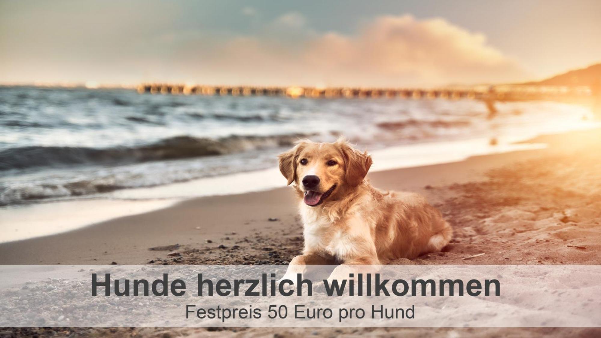 GroßheideGulfhof-Ferien Brieseアパートメント エクステリア 写真